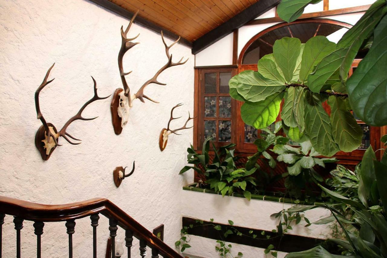 Molino Rodete Guest House Jimera de Líbar Eksteriør bilde